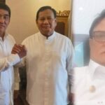 b33f25f3-c56e-48a2-88e7-67df35b33991_20251108084349170