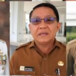 b33f25f3-c56e-48a2-88e7-67df35b33991_20251114094431001