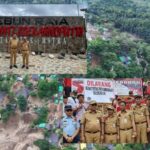 b33f25f3-c56e-48a2-88e7-67df35b33991_20251117232439179