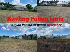 1000264369_20251202222358480