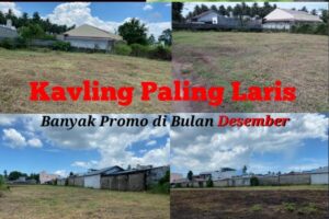 b33f25f3-c56e-48a2-88e7-67df35b33991_20251127214258188_20251202223233014