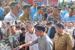 b33f25f3-c56e-48a2-88e7-67df35b33991_20251223122332175