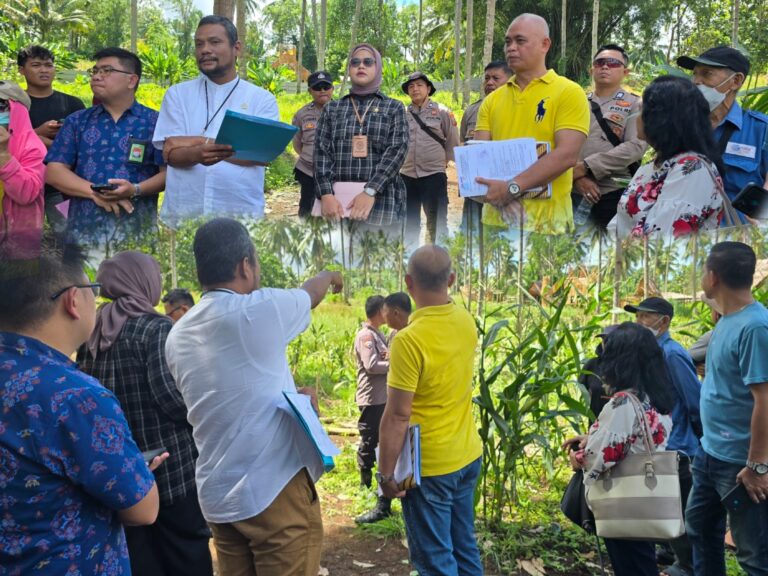 d71d69f7-07d1-457d-9e6b-7cd525aa6e53_20251210212359600