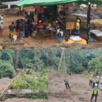 b33f25f3-c56e-48a2-88e7-67df35b33991_20260113005050383