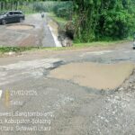 b33f25f3-c56e-48a2-88e7-67df35b33991_20260221183749827