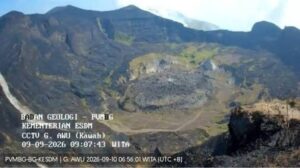images (12)